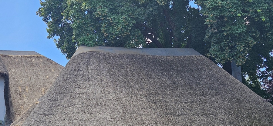 4 Bedroom Property for Sale in Dan Pienaar Free State